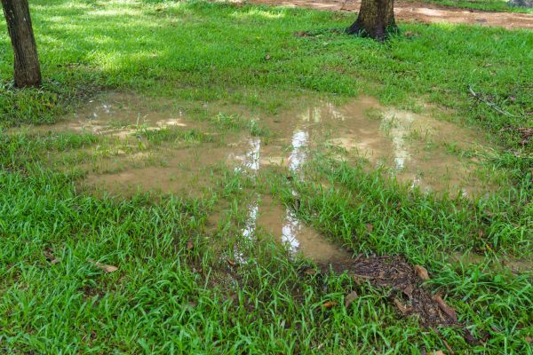 Cost of Storm Water Drainage Service in Cedar Rapids