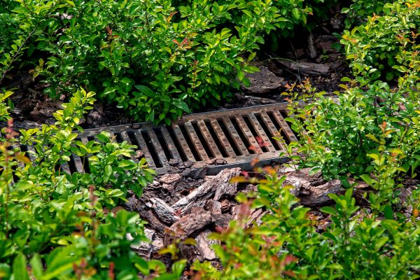 Cost of Underground Drainage Service in Cedar Rapids