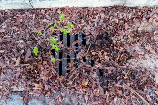 Cost of Yard Drain Unclogging in Cedar Rapids