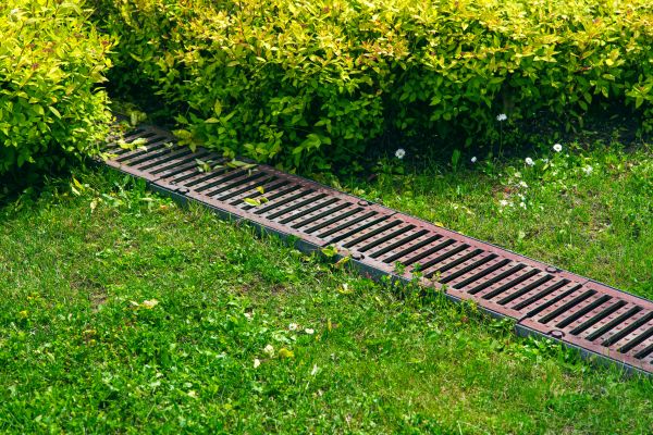 Cost of Lawn Drainage in Cedar Rapids