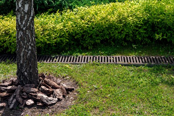 Cost of Yard Water Redirection in Cedar Rapids