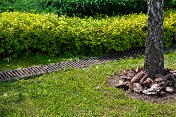 Cost of Residential Landscape Drainage in Cedar Rapids