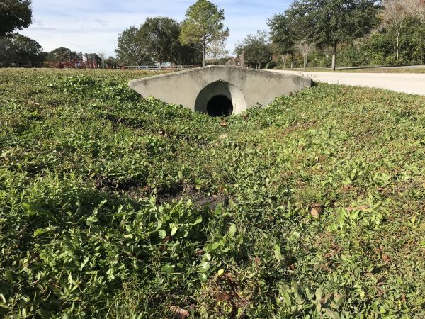 Cost of Swale Drainage Service in Cedar Rapids
